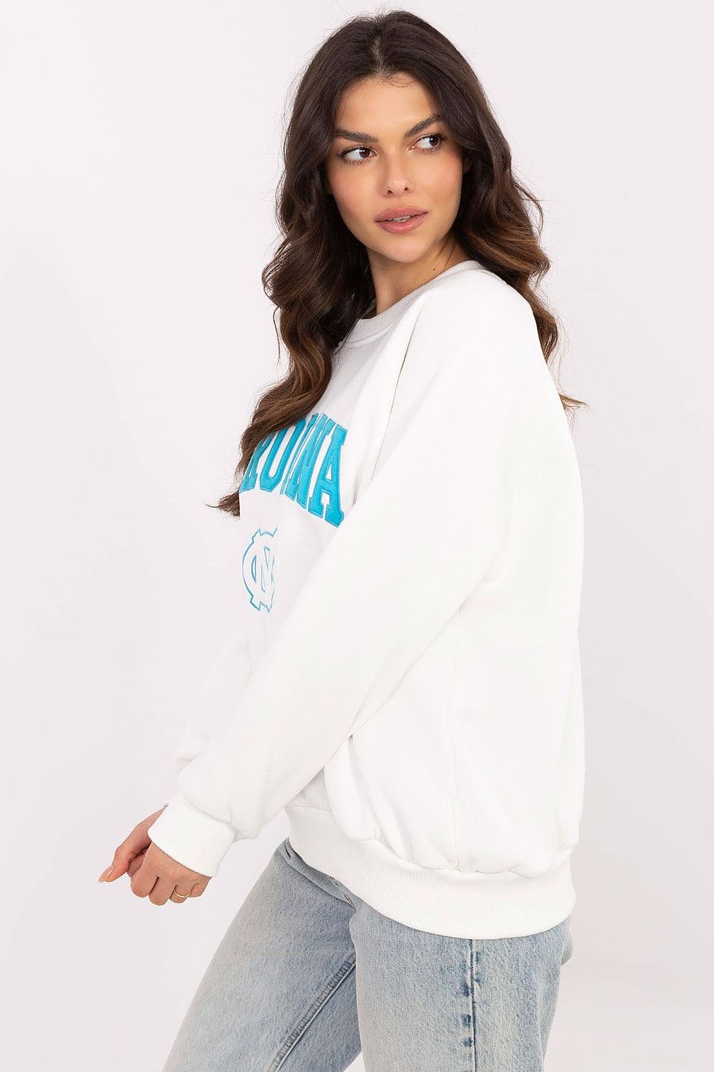  Sweatshirt model 206351 Factory Price 