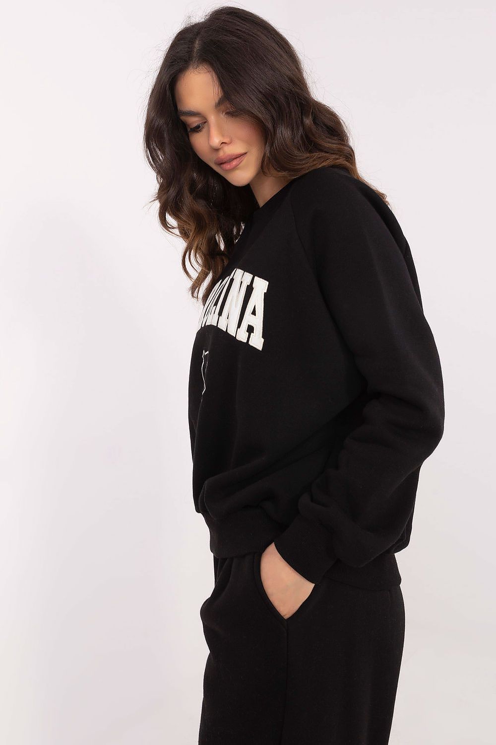  Sweatshirt model 206361 Factory Price 